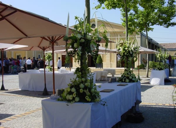 Château Bertinerie, Château / Domaine, CUBNEZAIS, France